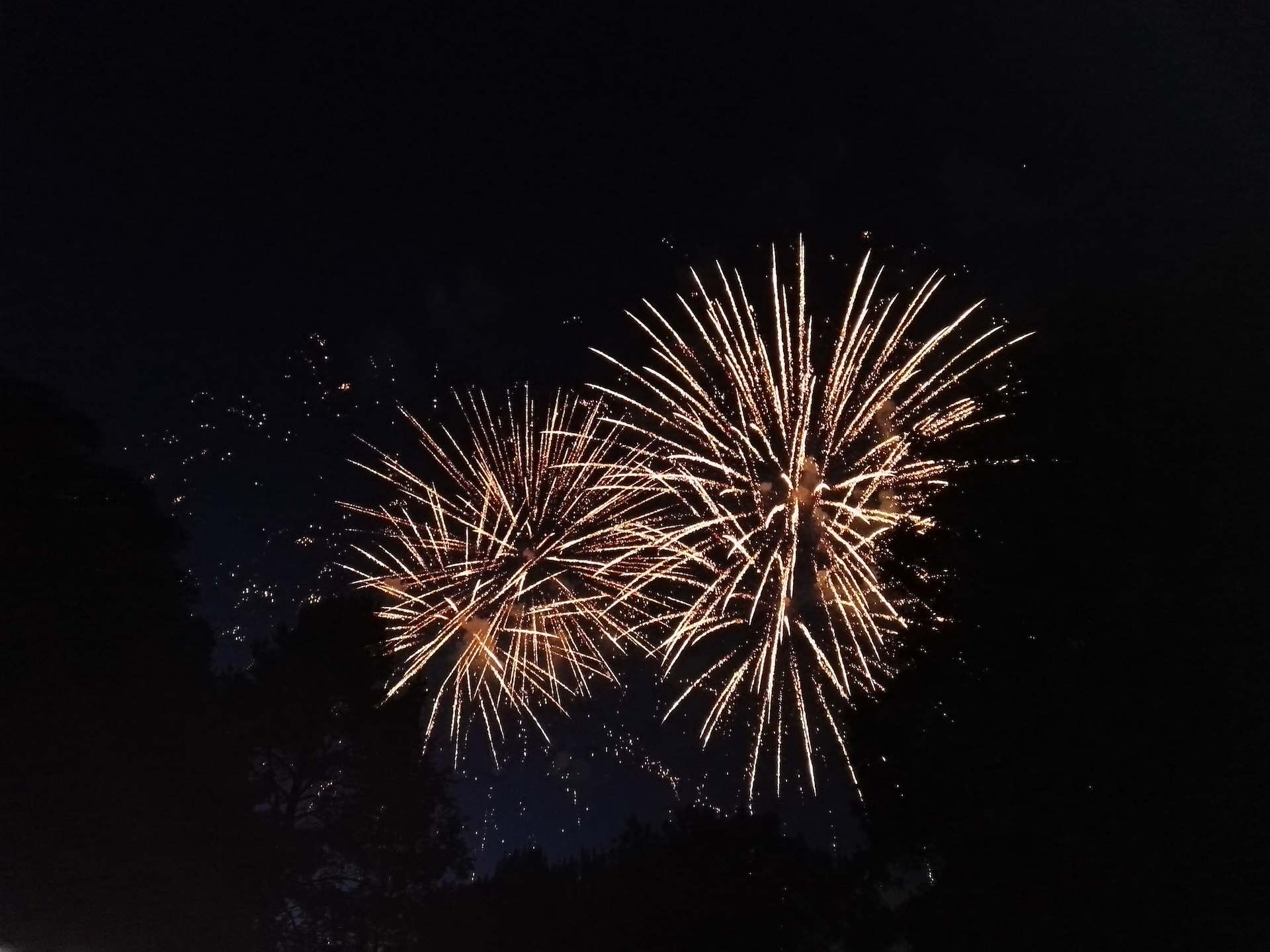 Bregenzer Hafenfest Feuerwerk